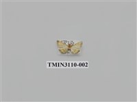 藏品(螟蛾197)的圖片